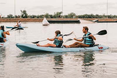 Be Water Surfing