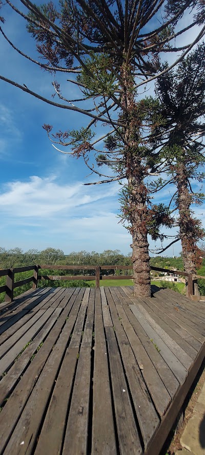 Mirador de las Araucarias