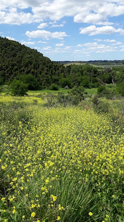 Reserva Natural Paititi