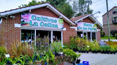 Vivero Cultivos la Colina