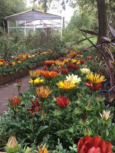 Vivero Las Tacuaras