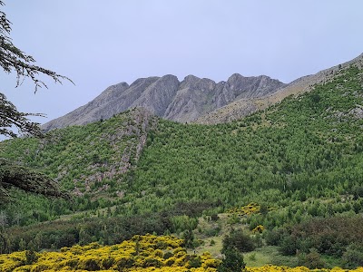 Tornquist Park