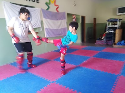 "Pasión Taekwon-Do"