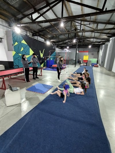 Wellness Group Gimnasia Artística/Calistenia/Parkour/ Acrobacia en telas