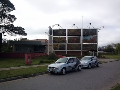 Escuela de Manejo - OesteVial