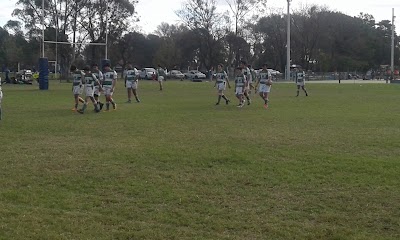 Rugby Argentino