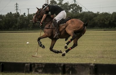 Fortin Polo club Tres Arroyos