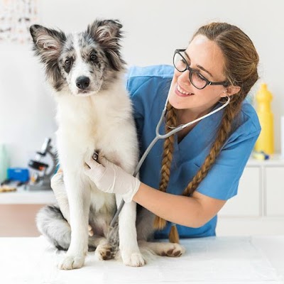 Centro Integral de Diagnostico Veterinario