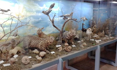 Museo Paula Florido