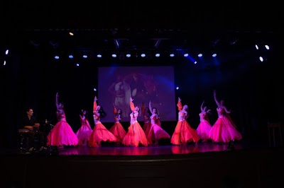 Instituto Danzas Venado Tuerto