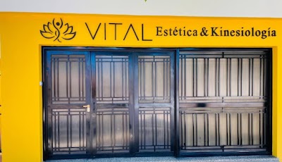 VITAL ESTÉTICA Y KINESIOLOGÍA