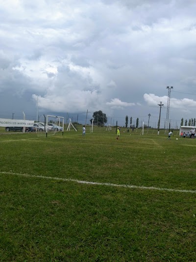 Cancha De Futbol Infantil Los Andes