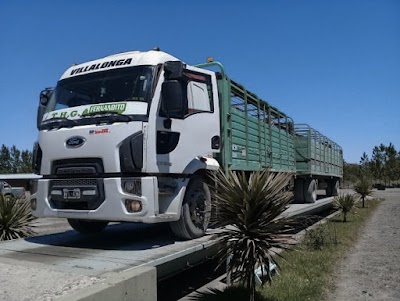 Transporte Fernandito