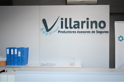 Villarino Productores de Seguros, FEDERACION PATRONAL