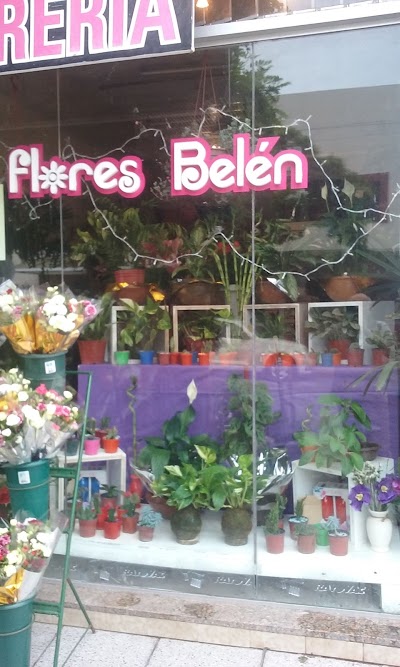 Florería Belén