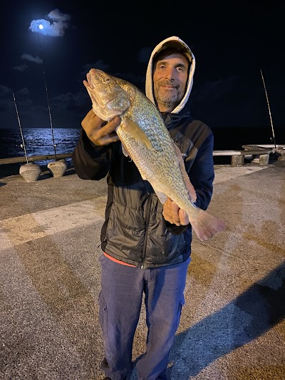 Pesca Mar Del Plata