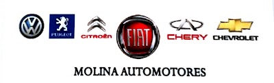 Molina Automotores