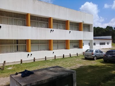 Escuela Secundaria N 3