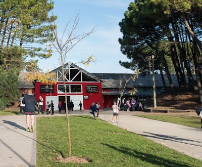 Colegio San Antonio Pinamar