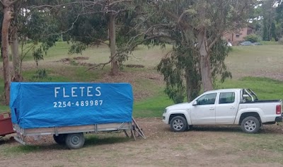 FLETES MUDANZAS GUSTAVO