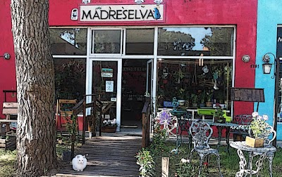 Madreselva Pinamar