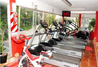 Fitness GyM