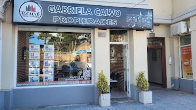 G Calvo Propiedades