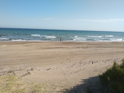 Playa Norte de Arenas Verdes