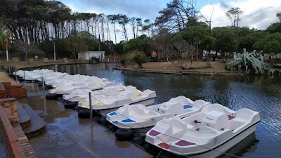 Lago de los Cisnes