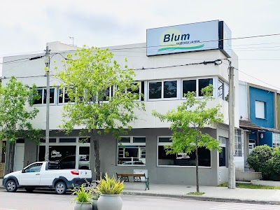 Blum INMOBILIARIA