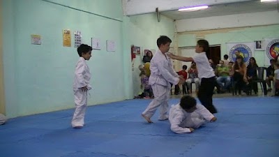 Centro De Difusion Del Aikido Santa Clara Del Mar