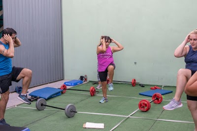 Gimnasio Optimus