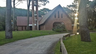 Bosque y Mar