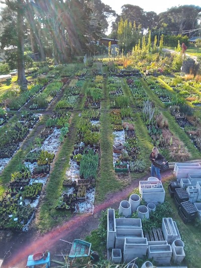 Vivero Alma Botánica