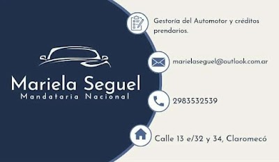 Mandataria Nacional Mariela Seguel