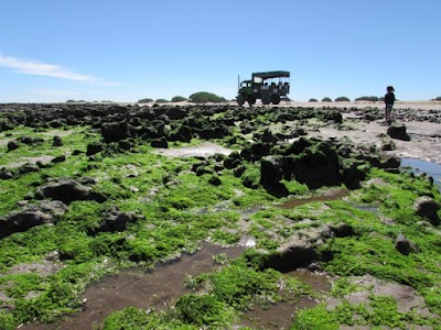 El camión de Claromecó