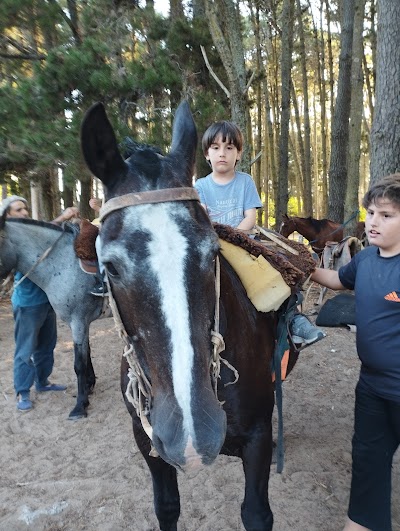 ALQUILER DE CABALLOS " EL COSTERO"