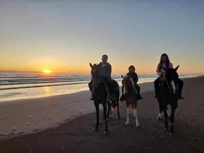 Alquiler de caballos "Travesia la costa"