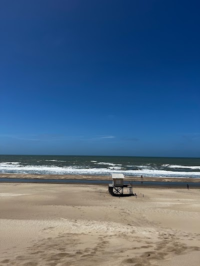 Escuela De Surf Mar De Las Pampas