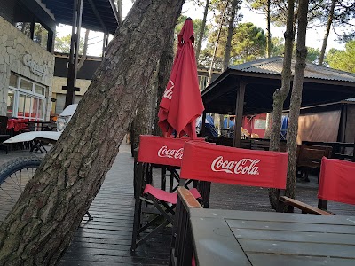 La Abuela Coca Empanadas Mar de las Pampas