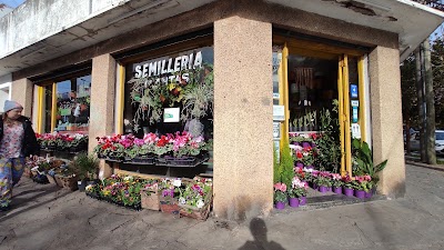 La Ardillita plantas y macetas