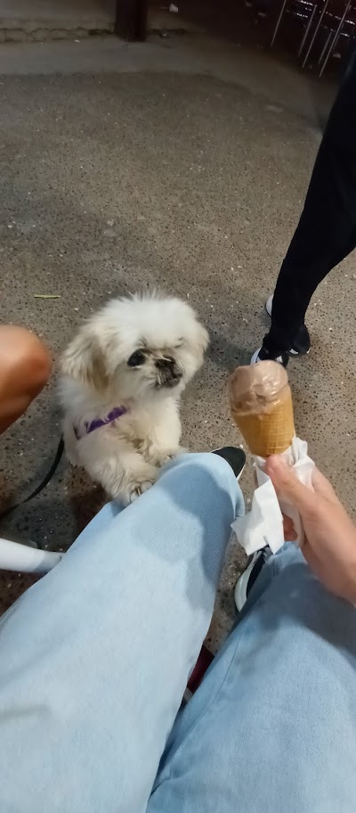 Helados Arcoiris