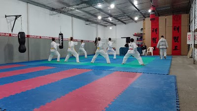 Escuela Necochense de Taekwon-Do