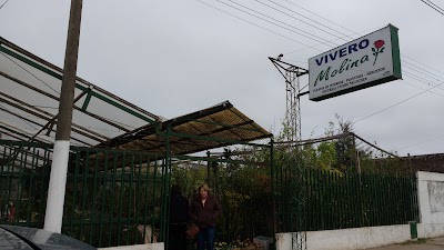 Vivero Molina