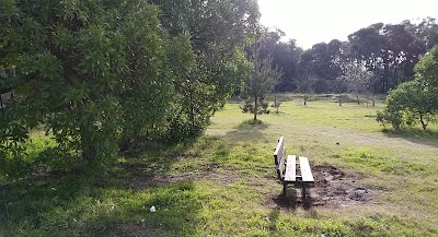 Parque Miguel Lillo - Atrás del Museo Histórico Regional