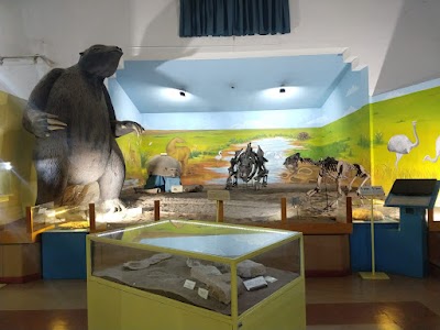 Museo Municipal De Ciencias Naturales Carlos Darwin