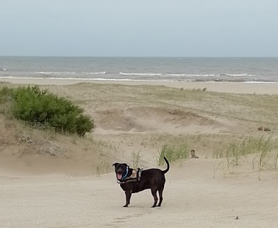 Playa Punta Medanos