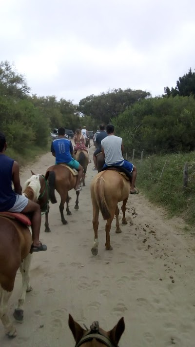 Alquiler de caballos Marcos y Sergio alday