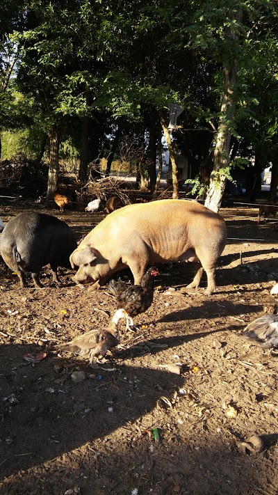 Maderera y Corralón de Materiales