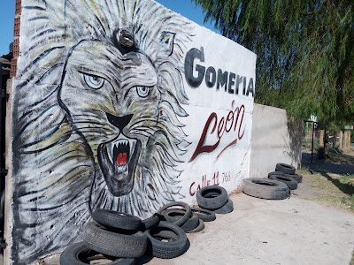 Leon gomeria calle 11 768